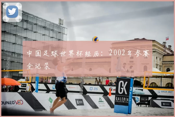 中国足球世界杯经历：2002年参赛全记录