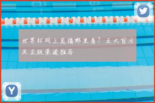 世界杯网上直播哪里看?五大官方及正版渠道推荐