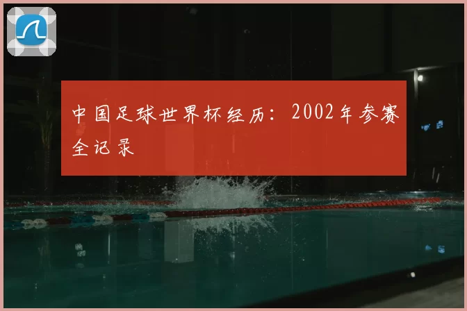 中国足球世界杯经历:2002年参赛全记录