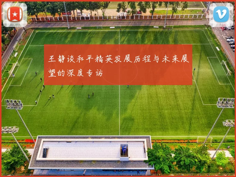 王静谈和平精英发展历程与未来展望的深度专访